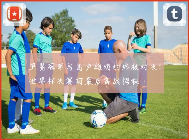 卫冕冠军与高卢雄鸡的终极对决：世界杯决赛前最后备战揭秘
