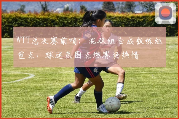 WTT总决赛前哨：混双组合成教练组重点，球迷氛围点燃赛场热情
