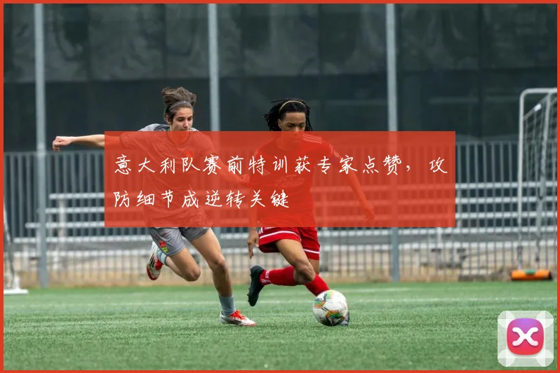 意大利队赛前特训获专家点赞，攻防细节成逆转关键